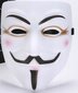 Anoniminė Vendetta kaukė, 7 tipas цена и информация | Karnavaliniai kostiumai | pigu.lt