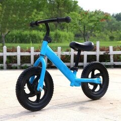 Беговел, синий цена и информация | Балансировочные велосипеды | pigu.lt