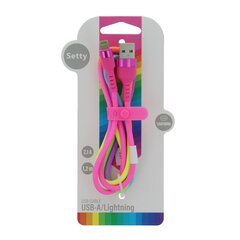 Setty USB - Lightning cable 1,2 m 2,1A KNA-L-1.22.113 rainbow цена и информация | Кабели и провода | pigu.lt