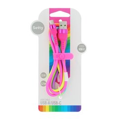 Setty USB - USB-C cable 1,2 m 2,1A KNA-C-1.22.113 rainbow цена и информация | Кабели и провода | pigu.lt
