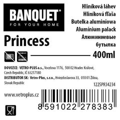 Gertuvė Princesses Disney, 400 ml цена и информация | Фляги для воды | pigu.lt