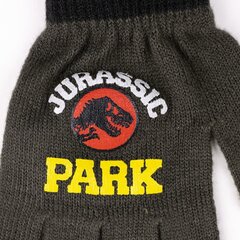 Pirštinės berniukams Jurassic Park S0738096 цена и информация | Шапки, перчатки, шарфы для мальчиков | pigu.lt