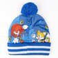 Kepurės, šaliko ir pirštinių komplektas berniukams Sonic S0737894 kaina ir informacija | Kepurės, pirštinės, šalikai berniukams | pigu.lt