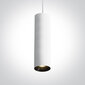 ONELight pakabinamas šviestuvas Cylinder LED 63105MA/W kaina ir informacija | Pakabinami šviestuvai | pigu.lt