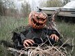 EUROPALMS Halloween Groundbreaker Pumpkin Monster, 50cm kaina ir informacija | Dekoracijos šventėms | pigu.lt