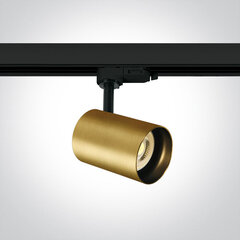 ONELight потолочный светильник Range 65105NT/BBS цена и информация | Потолочные светильники | pigu.lt