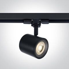 ONELight потолочный светильник Track 65520T/B цена и информация | Потолочные светильники | pigu.lt