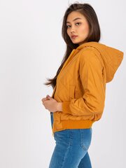 Женский жакет, желтый цена и информация | Женские куртки | pigu.lt