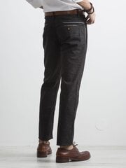 Kelnės vyrams FKRS.2693, pilkos цена и информация | Мужские брюки FINIS | pigu.lt