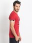 Marškinėliai vyrams Tommy Life FKRS.1898, raudoni kaina ir informacija | Vyriški marškinėliai | pigu.lt