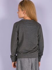 Джемпер для детей, серый цена и информация | Свитеры, жилетки, пиджаки для девочек | pigu.lt