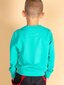 Bluzonas berniukams Fkrsf206e37bb6c0a876a91, žalias цена и информация | Megztiniai, bluzonai, švarkai berniukams | pigu.lt