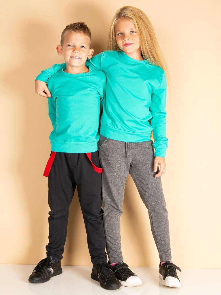 Bluzonas berniukams Fkrsf206e37bb6c0a876a91, žalias цена и информация | Megztiniai, bluzonai, švarkai berniukams | pigu.lt