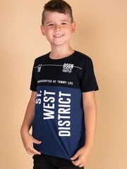 Marškinėliai berniukams fkrsdde05b965d35, mėlyni цена и информация | Рубашка для мальчиков | pigu.lt