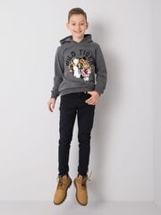 Džemperis berniukams, pilkas kaina ir informacija | Megztiniai, bluzonai, švarkai berniukams | pigu.lt