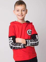 Bluzonas berniukams Fkrsa25967d7fc14151b5206, raudonas kaina ir informacija | Megztiniai, bluzonai, švarkai berniukams | pigu.lt