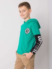 Marškinėliai berniukams Fkrsfaa10a6db34, žali цена и информация | Рубашка для мальчиков | pigu.lt