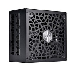 SilverStone Hela 850R Platinum kaina ir informacija | Maitinimo šaltiniai (PSU) | pigu.lt