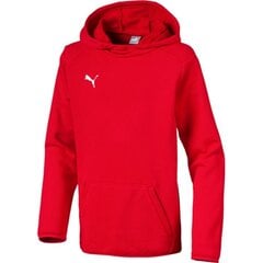 Puma džemperis mergaitėms Liga casuals hoody SW473587.8326, raudonas kaina ir informacija | Megztiniai, bluzonai, švarkai mergaitėms | pigu.lt