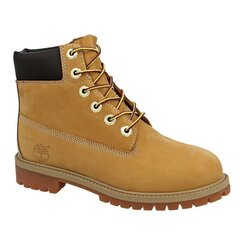 Auliniai batai vaikams Timberland 6 In Premium wp jr 12909 sw504676.8063, rudi kaina ir informacija | Aulinukai vaikams | pigu.lt