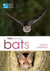 RSPB Spotlight Bats kaina ir informacija | Knygos apie sveiką gyvenseną ir mitybą | pigu.lt