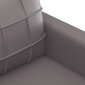 2-jų dalių sofos komplektas su pagalvėlėmis vidaXL, pilkas kaina ir informacija | Sofos | pigu.lt