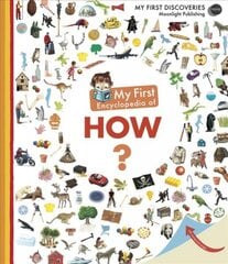 My First Encyclopedia of How? цена и информация | Книги для подростков и молодежи | pigu.lt
