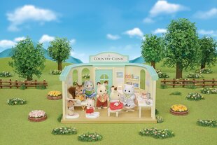 Dovanų rinkinys Sylvanian Families Kaimo gydytojas цена и информация | Игрушки для мальчиков | pigu.lt