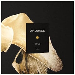 Парфюмированная вода Amouage Gold EDP для мужчин, 100 мл цена и информация | Мужские духи | pigu.lt