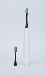 Oclean Black цена и информация | Насадки для электрических зубных щеток | pigu.lt