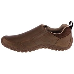 Laisvalaikio batai vyrams Caterpillar, rudi цена и информация | Мужские ботинки | pigu.lt