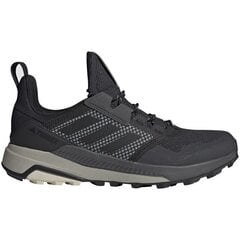 Adidas žygio batai vyrams Terrex Trailmaker G M SW606644.8096, pilki kaina ir informacija | Vyriški batai | pigu.lt