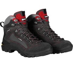 Žygio batai vyrams Alpinus Dragon High Tactical sw611498.1266, pilki цена и информация | Мужские ботинки | pigu.lt