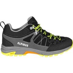 Žygio batai vyrams Alpinus Tromso Low Tactical M GR43339, juodi kaina ir informacija | Vyriški batai | pigu.lt