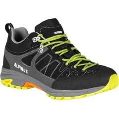 Žygio batai vyrams Alpinus Tromso Low Tactical M GR43339, juodi kaina ir informacija | Vyriški batai | pigu.lt
