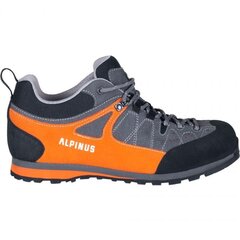 Žygio batai vyrams Alpinus The Ridge Low Pro GR43298, pilki цена и информация | Мужские ботинки | pigu.lt