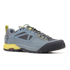 Sportiniai batai vyrams Salomon X Alp SPRY GTX M 401621 SW6276338148, mėlyni цена и информация | Кроссовки для мужчин | pigu.lt