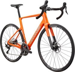 Miesto dviratis SuperSix CARBON, orandžinis цена и информация | Велосипеды | pigu.lt
