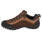 Žygio batai vyrams Merrell SW663713.8082, rudi цена и информация | Vyriški batai | pigu.lt