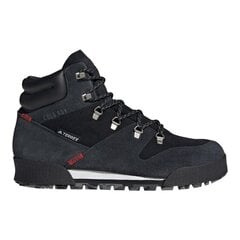 Žygio batai vyrams Adidas Terrex Snowpitch M FV7957, juodi цена и информация | Мужские ботинки | pigu.lt