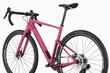 Hibridinis dviratis Cannondale topstone carbon apex axs 28", rožinis цена и информация | Dviračiai | pigu.lt