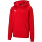 Puma džemperis mergaitėms Teamgoal 23 casuals hoody SW745767.6856, raudonas kaina ir informacija | Megztiniai, bluzonai, švarkai mergaitėms | pigu.lt