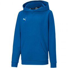 Puma džemperis mergaitėms Teamgoal23 casuals hoody SW745768.6856, mėlynas цена и информация | Свитеры, жилетки, пиджаки для девочек | pigu.lt