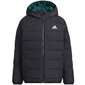 Striukė berniukams Adidas Frosty SW765992.8335, juoda цена и информация | Striukės berniukams | pigu.lt