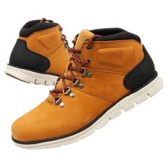 Auliniai batai vyrams Timberland Bradstreet sw769175.2679, rudi цена и информация | Мужские ботинки | pigu.lt