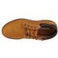 Batai vyrams Timberland Basic Oxford Sw783473.8082, rudi цена и информация | Vyriški batai | pigu.lt