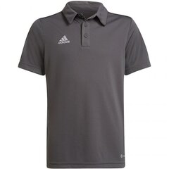 Adidas marškinėliai berniukams Entrada 22 SW785376.8293, pilki kaina ir informacija | Marškinėliai berniukams | pigu.lt