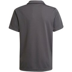 Adidas marškinėliai berniukams Entrada 22 SW785376.8293, pilki цена и информация | Рубашки для мальчиков | pigu.lt