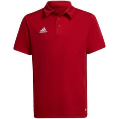 Adidas marškinėliai berniukams Entrada 22 SW785377.8293, raudoni цена и информация | Рубашки для мальчиков | pigu.lt