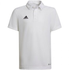 Marškinėliai vaikams Adidas Entrada 22 sw785378.8328, balti цена и информация | Рубашки для мальчиков | pigu.lt